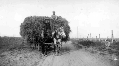 Historical photo of Nylin family hauling hay, 1917