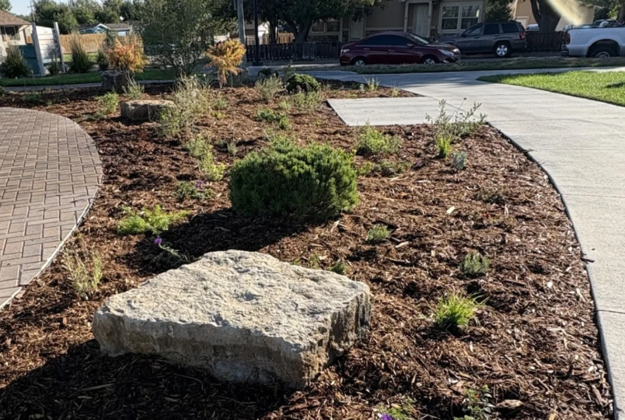 Rocks and bushes in a garden. 