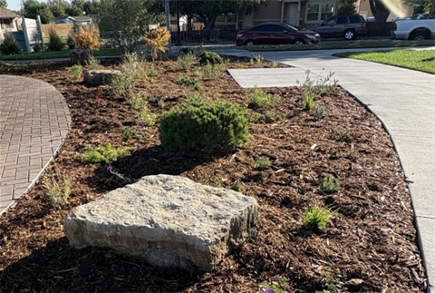 Rocks and bushes in a garden. 