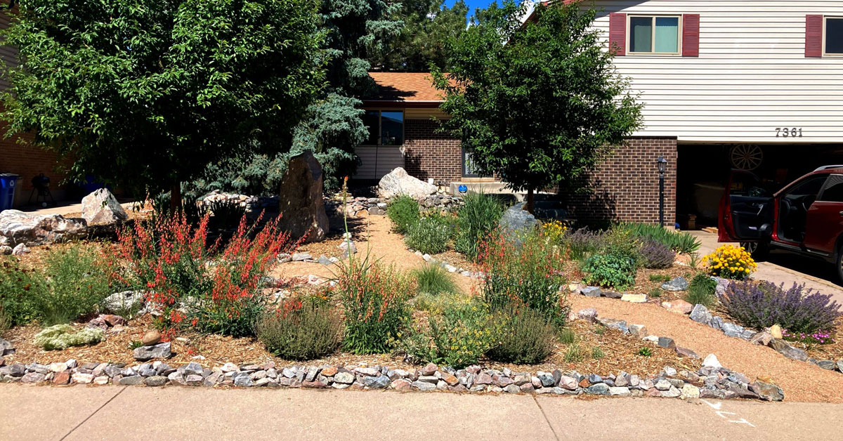 Xeriscaping garden