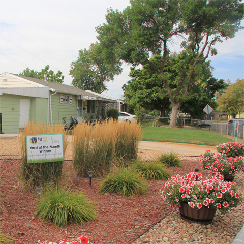 Image of yard with plants. 