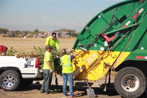 Green Waste