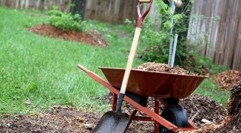 Wheel barrow and shovel. 