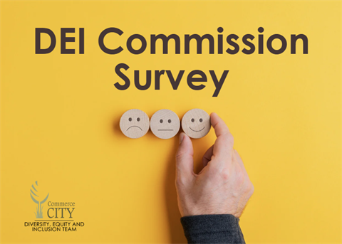 DEI Survey Graphic