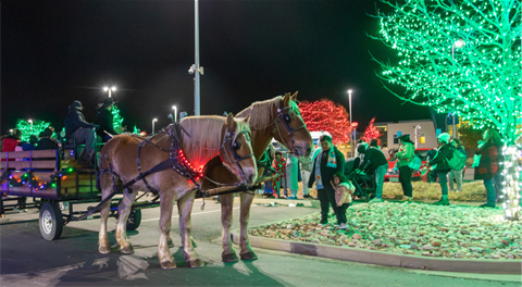 Residents enjoy a horse-drawn carriage ride at the city's Holiday Tree Lighting event