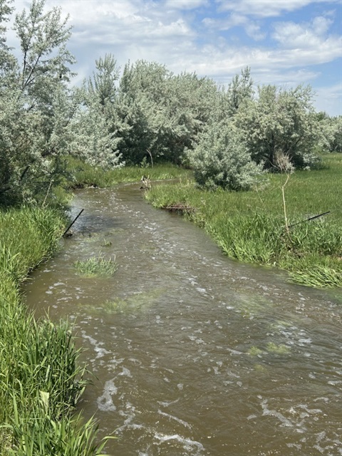 Image of second Creek