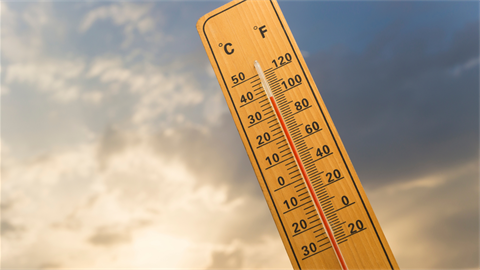Image of thermometer reaching nearly 100 degrees Fahrenheit 