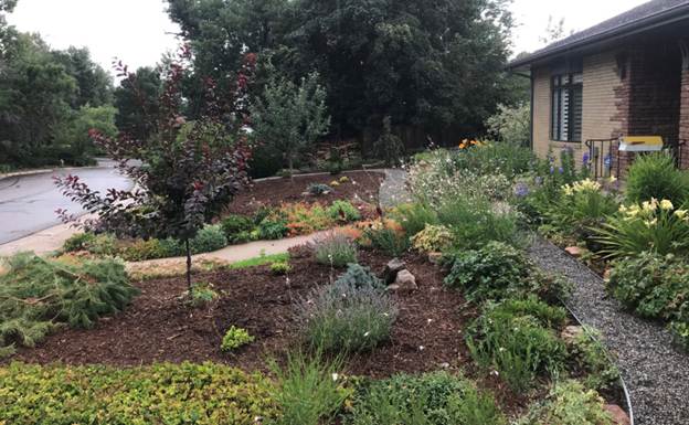 Plants and bushes in front of a house. 