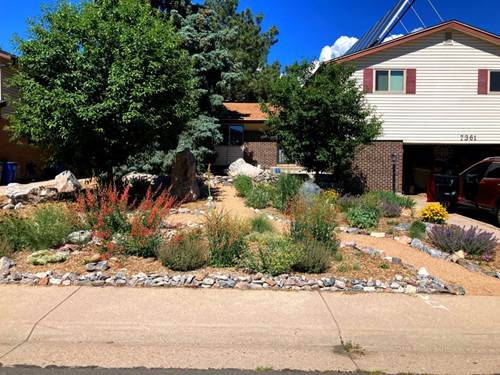 A large tree, bushes, rocks and flowers near a house. 